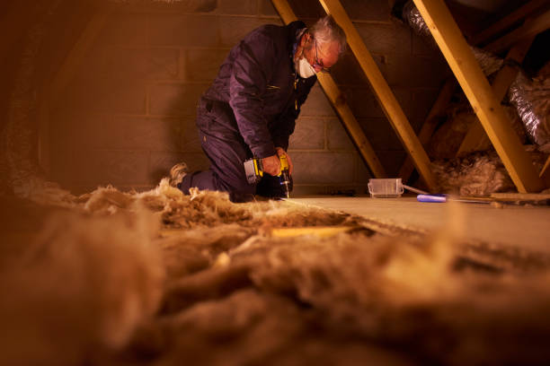 Best Geographic-Specific Insulation Services in Piednt, MO